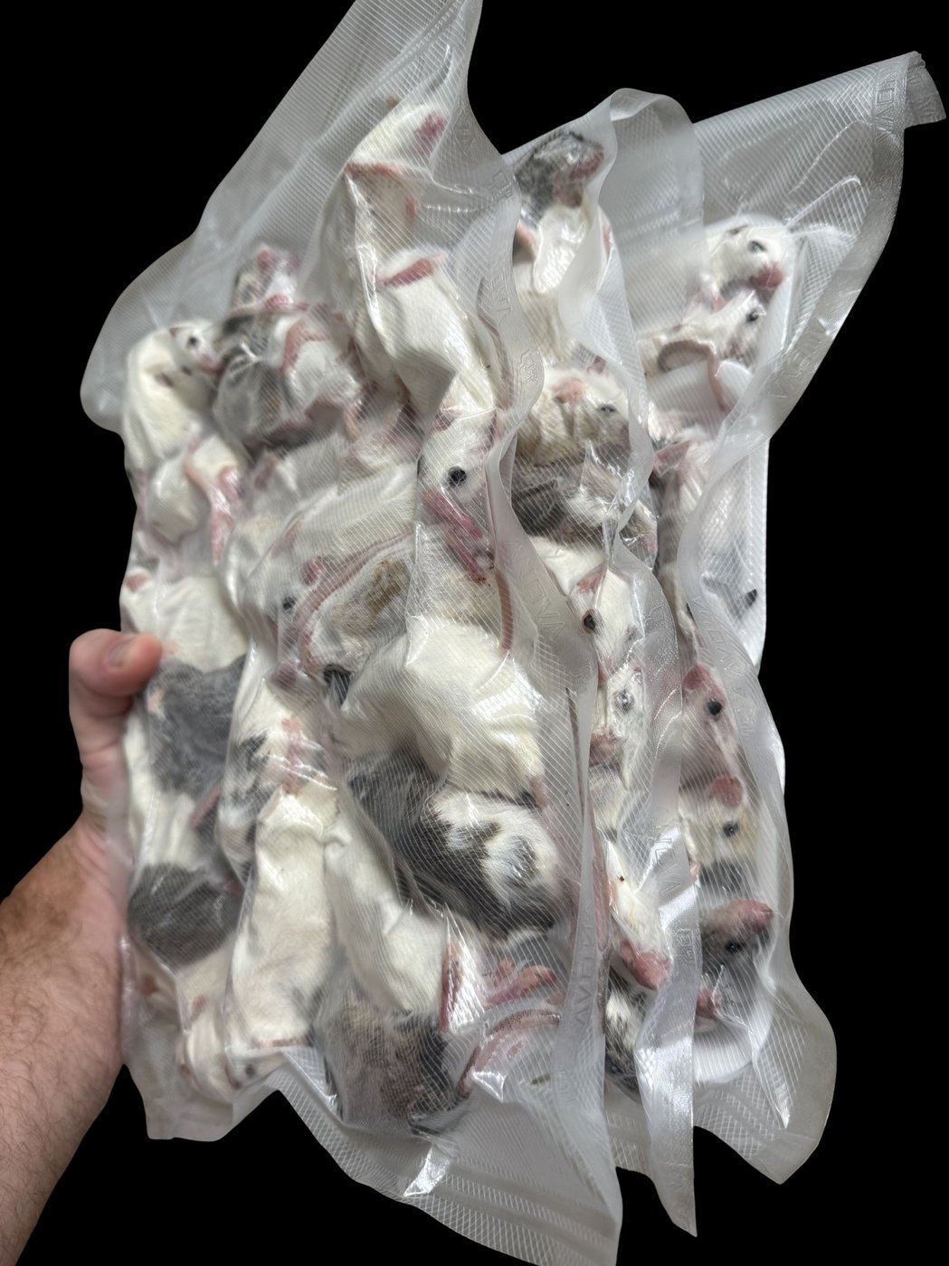 Vacuum sealed ASF feeders — The Feeder Factory